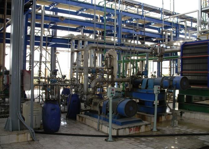 Sulphonation Reactor